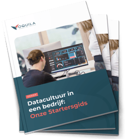 oquile-ebook-datacultuur-in-een-bedrijf-def
