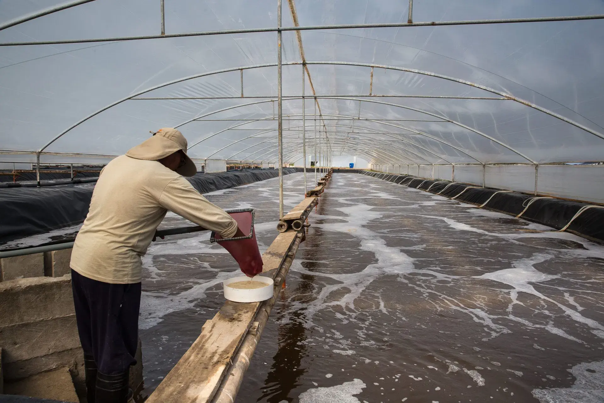 INVE Aquaculture bouwt schaalbaar dataplatform met Microsoft Fabric